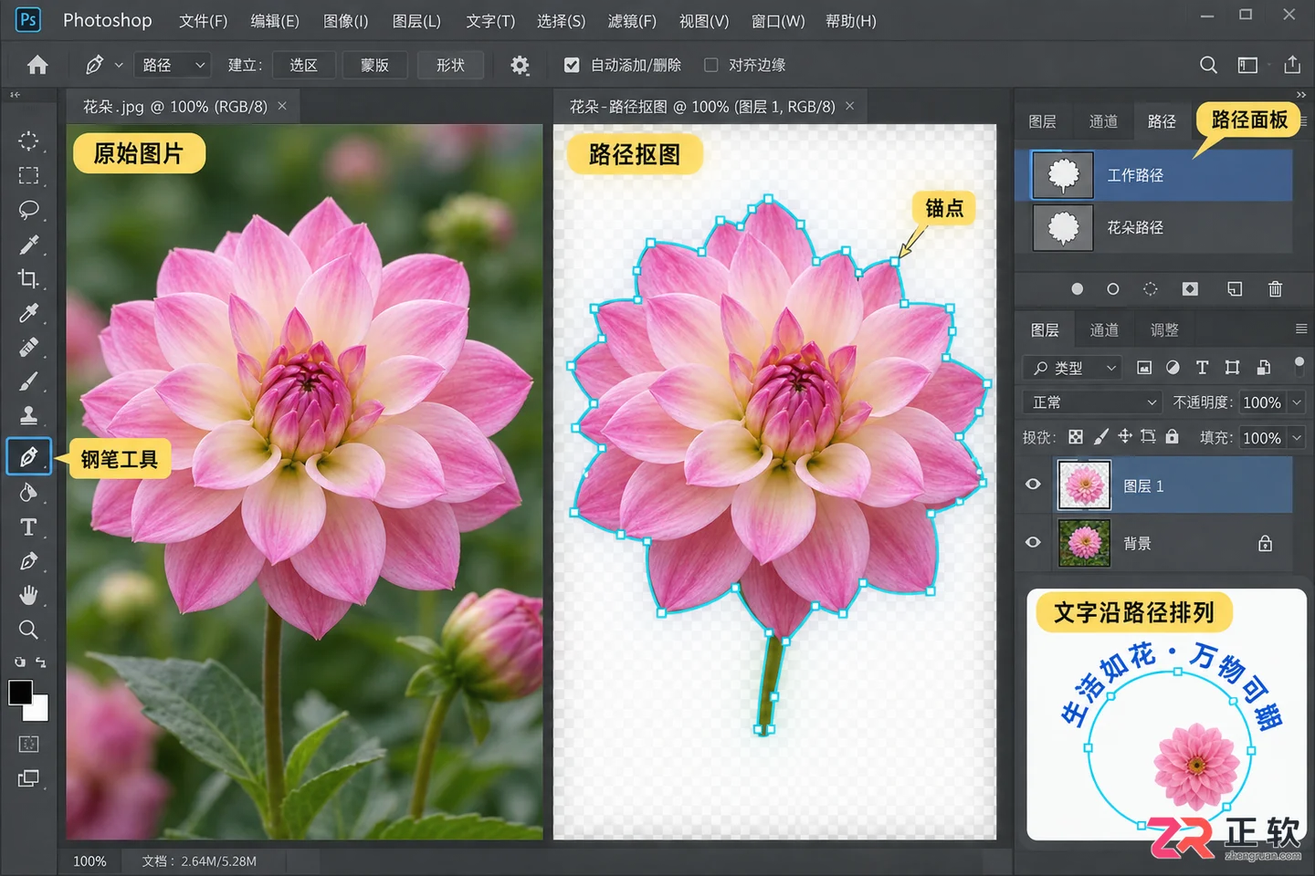 photoshop路径的主要作用