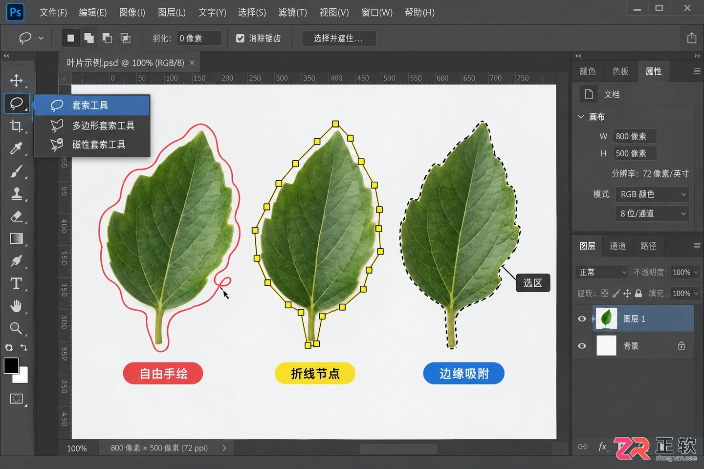 Photoshop选区工具有哪些?常用工具及作用介绍