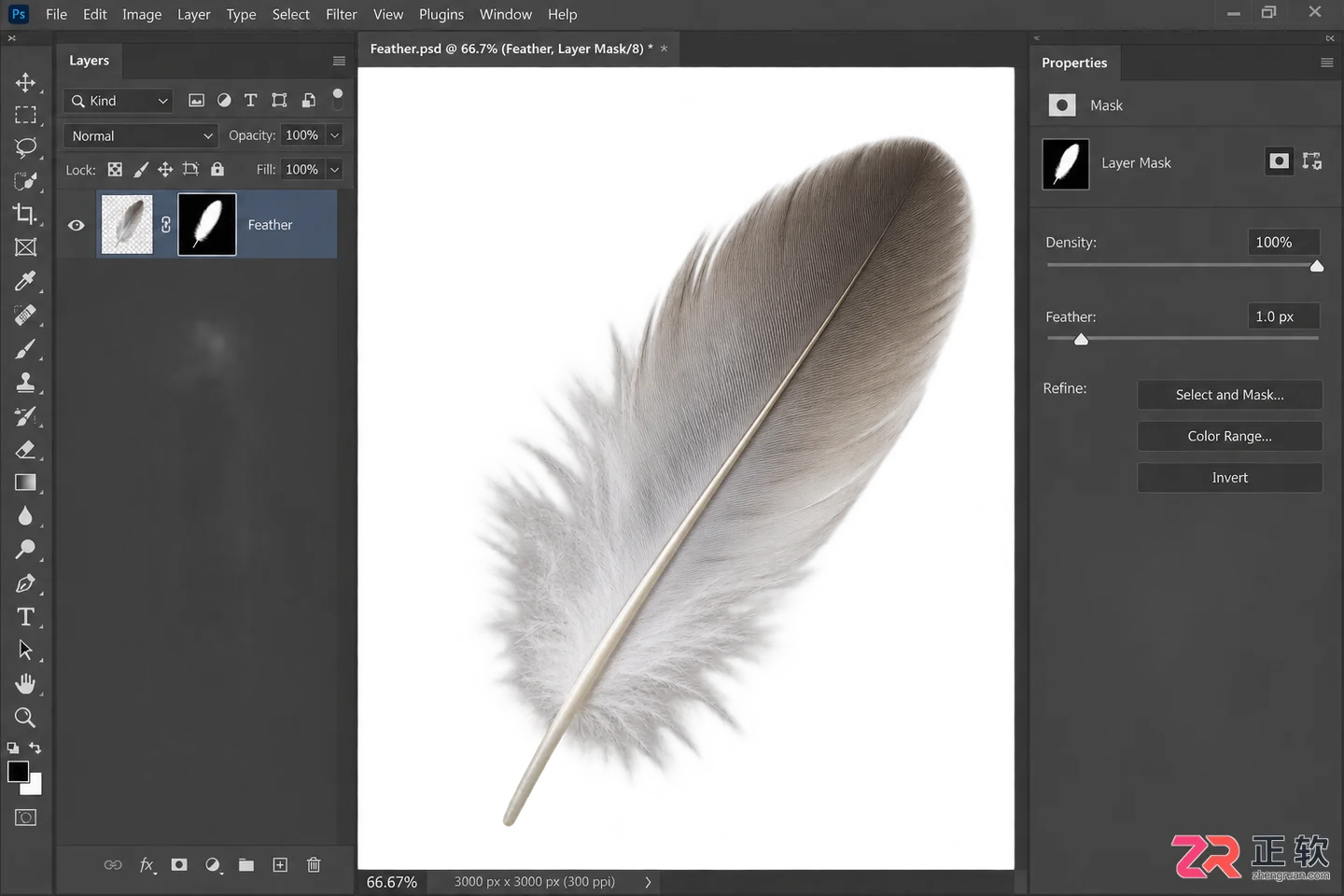 photoshop通道抠有颜色的羽毛