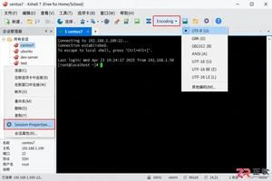 xshell乱码怎么办中文显示与编码设置教程