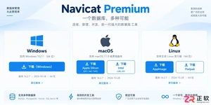 navicat安装教程及环境配置方法详解