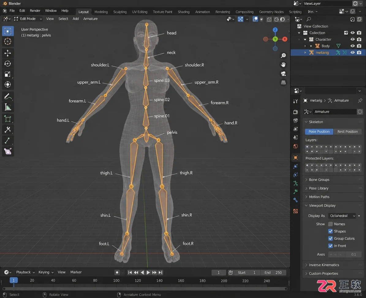 Blender绑定骨骼教程详细步骤与操作图解