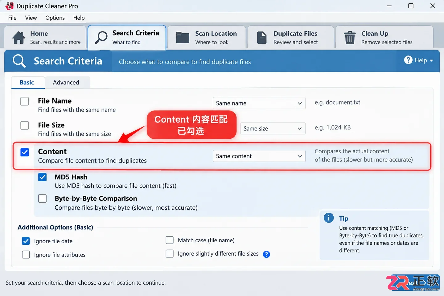 duplicate cleaner pro 使用方法