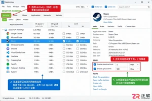 netlimiter怎么用教程详细设置方法与操作步骤