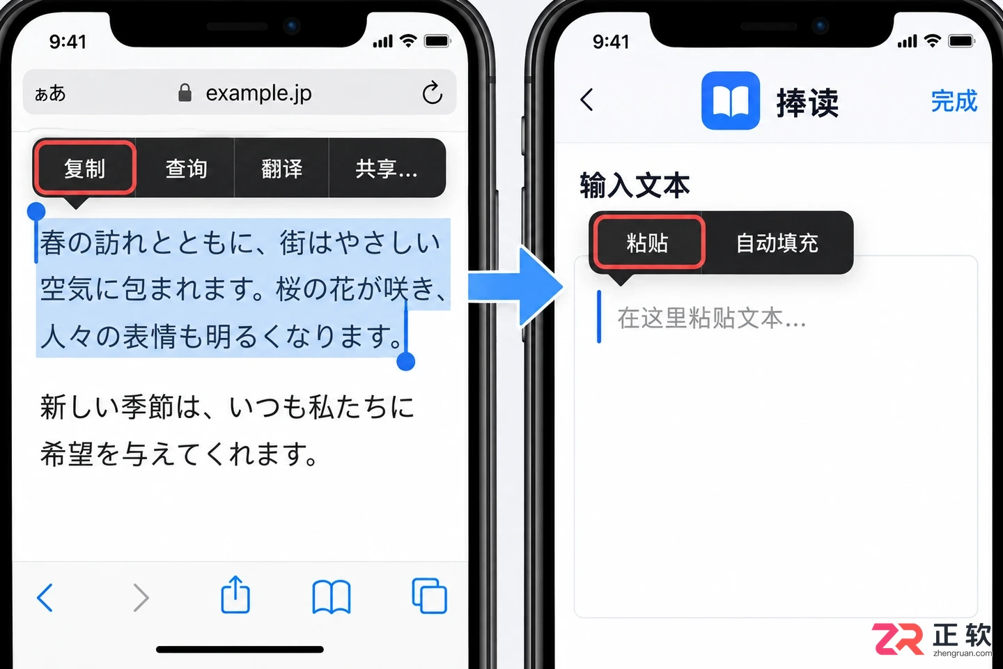 捧读无法打开网页的常见原因与详细解决方法