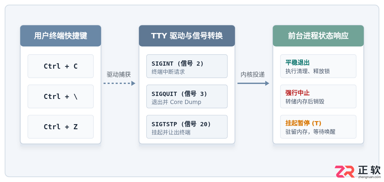 linux系统终止进程快捷键是什么及使用方法