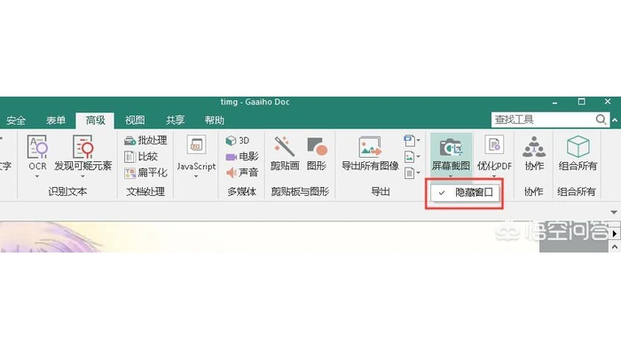 Office检查PDF/A选项后发布真实界面图